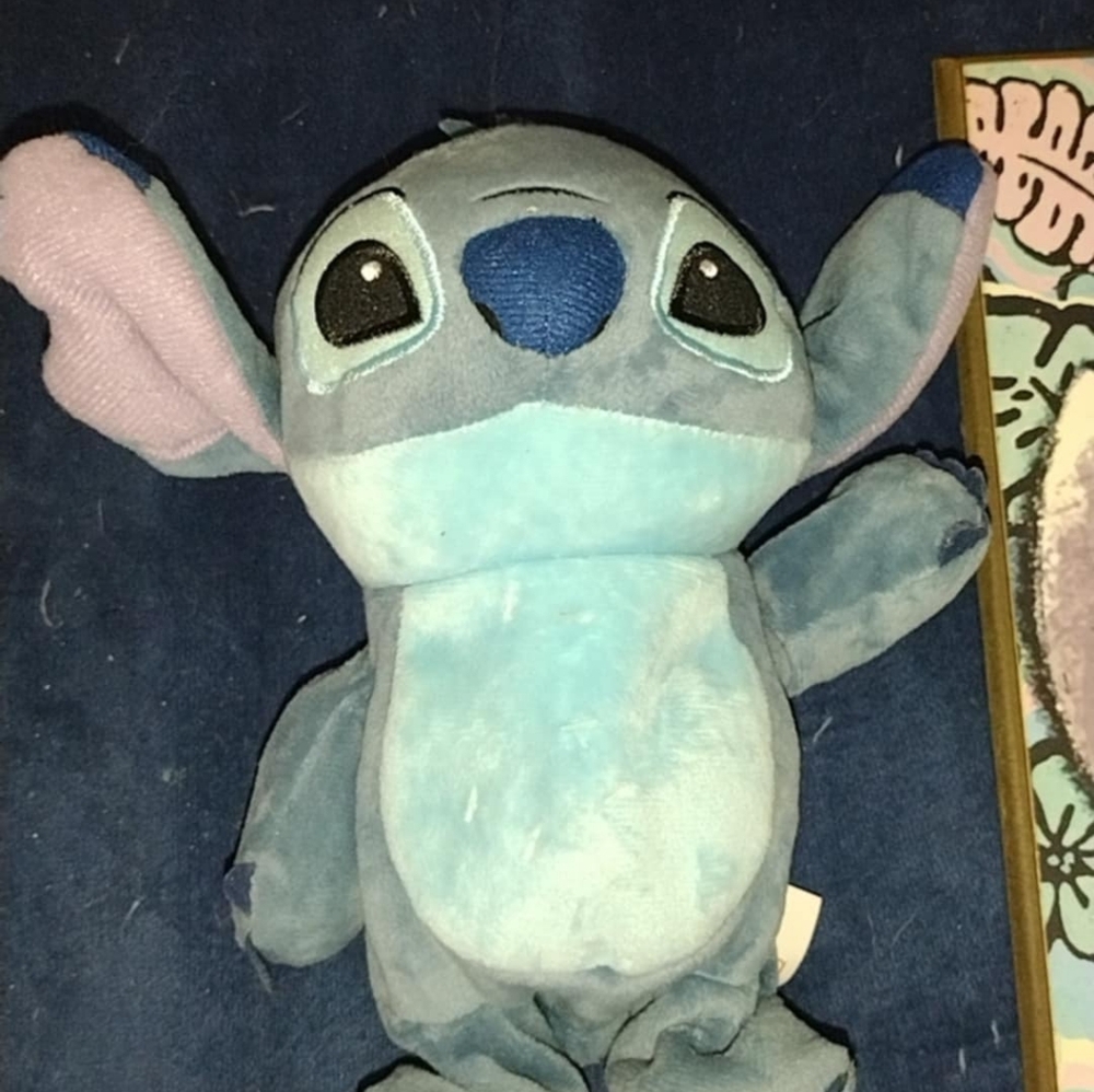 Stitch items - Picture 8 of 11